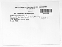 Image Associated With the Occurence